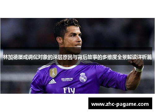 林加德屡成调侃对象的深层原因与背后故事的多维度全景解读详析篇