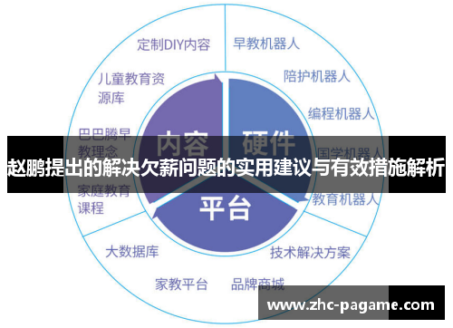 赵鹏提出的解决欠薪问题的实用建议与有效措施解析