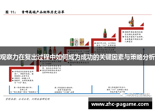 观察力在复出过程中如何成为成功的关键因素与策略分析