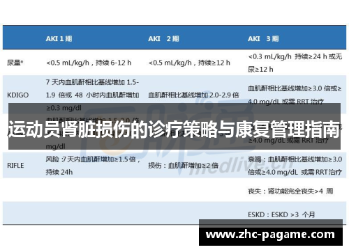 运动员肾脏损伤的诊疗策略与康复管理指南