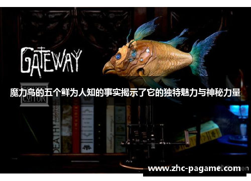 魔力鸟的五个鲜为人知的事实揭示了它的独特魅力与神秘力量 魔力鸟的五个鲜为人知的事实揭示了它的独特魅力与神秘力量