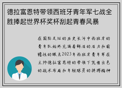 德拉富恩特带领西班牙青年军七战全胜捧起世界杯奖杯刮起青春风暴 德拉富恩特带领西班牙青年军七战全胜捧起世界杯奖杯刮起青春风暴